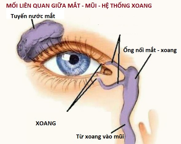 Bệnh mũi xoang có thể gây giảm thị lực!